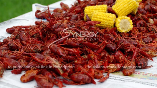0253B boiled crawfish with corn and potatoes
