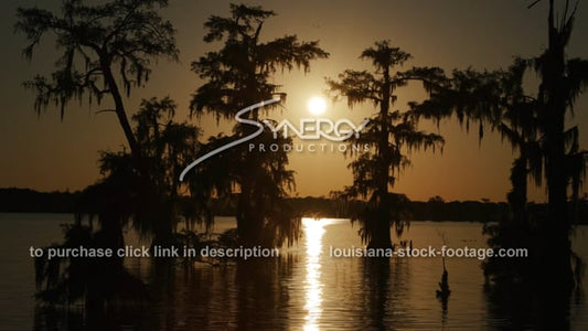 2935 beautiful sunset in Louisiana swamp
