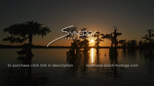 2948 morning in Louisiana Atchafalaya basin stock footage video