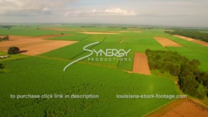 0130 Super wide shot sugar cane field Louisiana agriculture