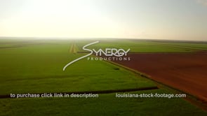 0135 Morning sunrise with mist aerial drone view sugar cane field
