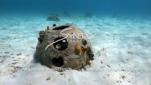 2201 underwater reef ball video stock footage