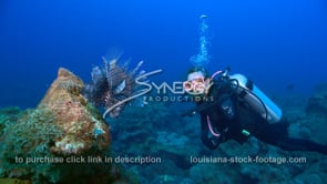 2256 scuba diver studies lionfish