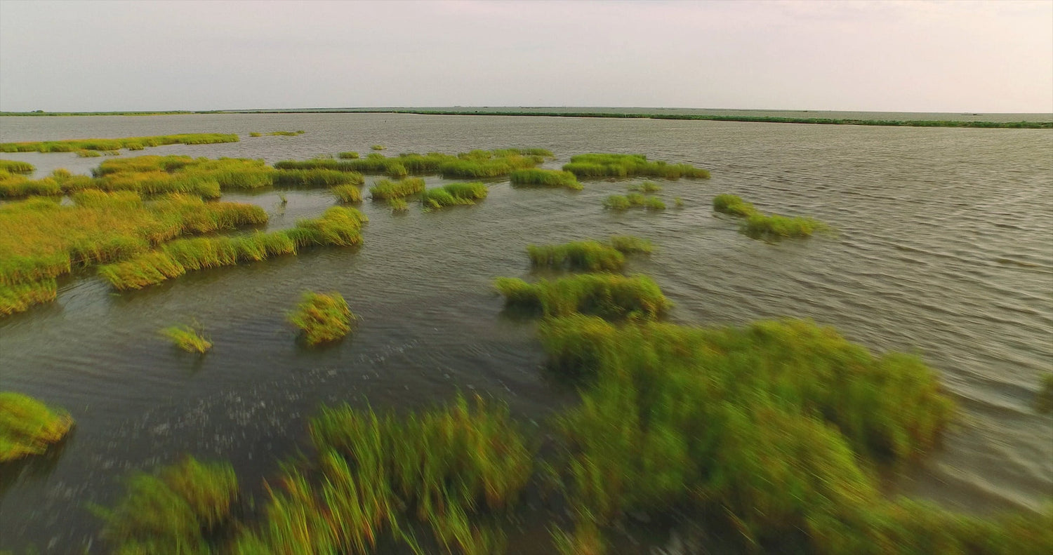 Louisiana Gulf Coast aerial stock footage video