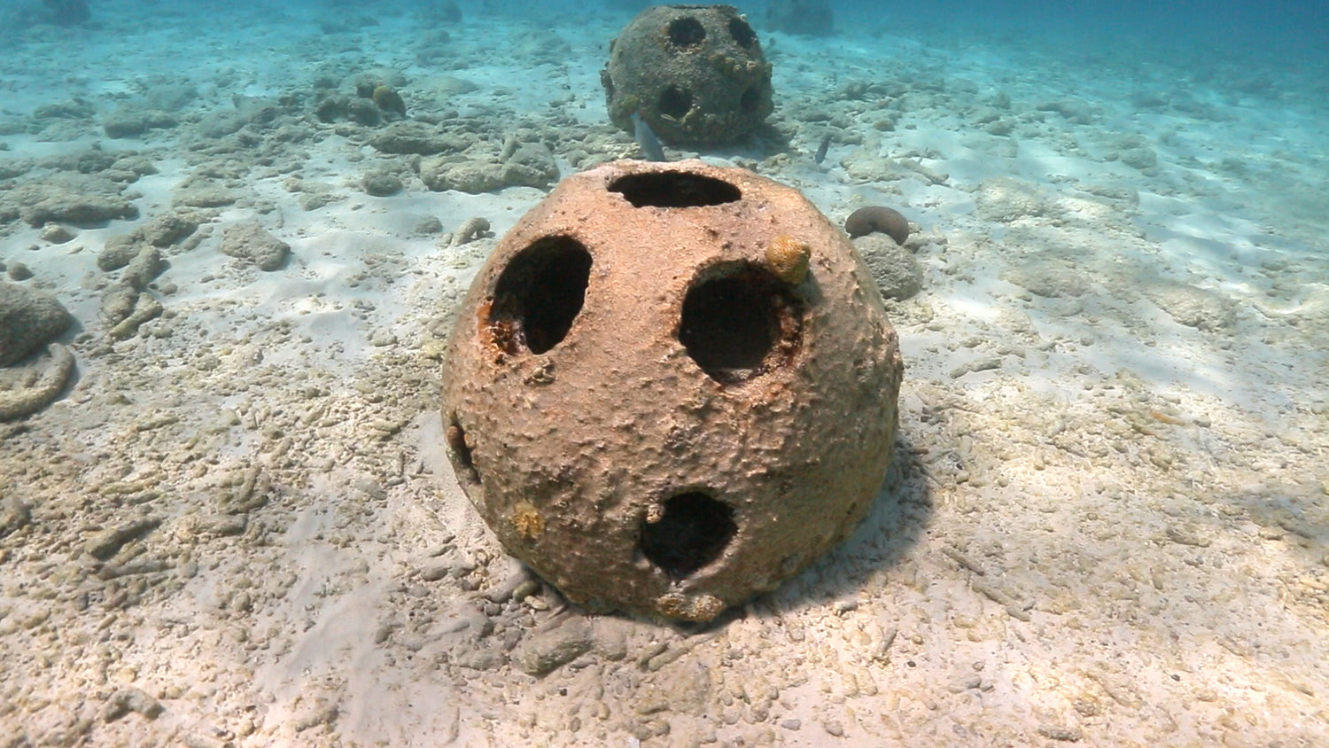 Reef ball artificial reefs stock footge video