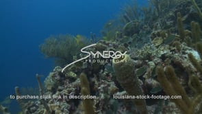 2304 Caribbean Island scuba diving