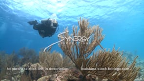 2484 underwater scuba diver on coral reef Caribbean