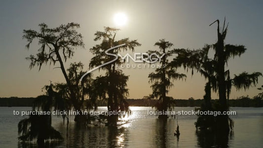 2902 sunrise in Louisiana swamp