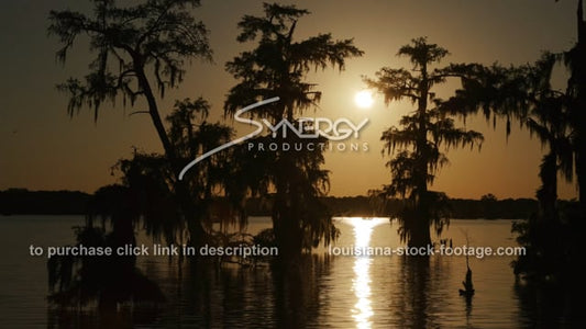 2934 sunset in Louisiana swamp