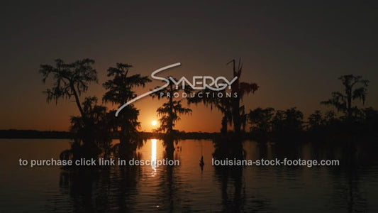 2941 evening Louisiana swamp sunset