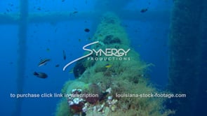 0513 deepwater marine ecosystem under oil rig gas platform