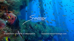 0498 leg of oil rig reveals Epic underwater ecosystem