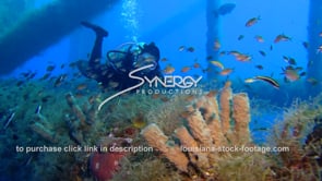 0470 Scuba diver observes marine ecosystem legs oil rig