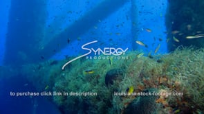 0471 underwater ecosystem under oil platform