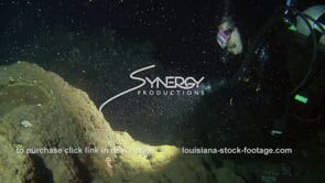 1218 scuba diver scientist observing coral spawning