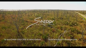 0723 Aerial ascent dying dead trees Louisiana land loss