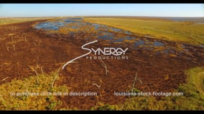 0721 Dead and dying Louisiana marsh coastal erosion