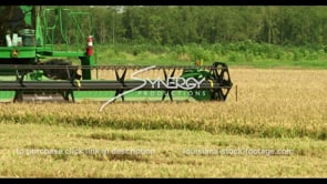 0726 CU John Deere tractor combine harvesting rice