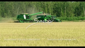 0727 farmers Combine dumping rice into tractor