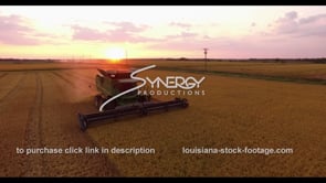 0757 Awesome aerial drone ascent of rice harvest