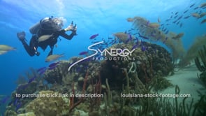 0989 scuba diver on healthy caribbean coral reef