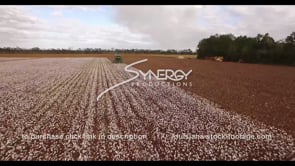 0914 quick aerial drone past tractor harvesting cotton