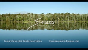 0842 smooth ride along swamp river bank swamp tours