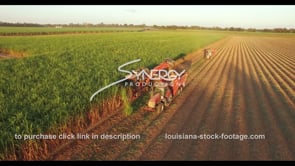 0862 Louisiana farmer harvesting sugarcane aerial