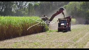 0870 Nice pan to sugarcane farming harvest stock footage