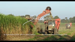 0866 cutting sugar cane farmland in louisiana