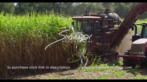 0879 ECU sugarcane harvesting