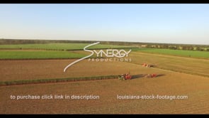 0882 epic sugarcane harvesting aerial drone ascent into sky