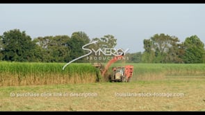 0884 American sugarcane harvesting WS