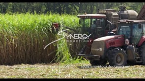 0889 CU tractor in sugarcane field