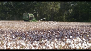 0907 cotton harvesting Louisiana agriculture