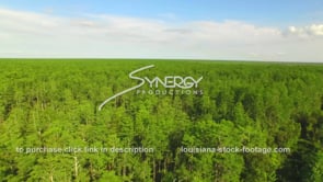 0031 Joyce wildlife management area aerial drone cypress forest boom up