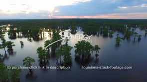 0036 atchafalaya basin swamp aerial drone dolly back at suset
