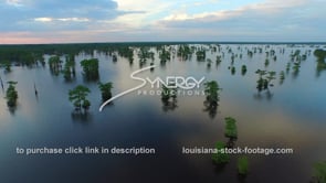 0038 epic awesome aerial drone shot atchafalaya basin swamp dolly out 2 at sunset