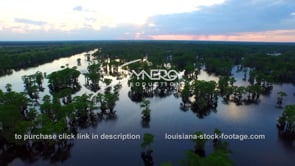 0039 aerial drone henderson swamp atchafalaya basin dolly out
