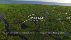 0058 lake pontchartrain coastal erosion eroding marsh swamp land