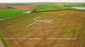 0082 Epic awesome aerial view rice crops agriculture crop farming