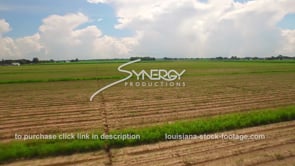 0113 Epic aerial drone descent to freshly planted sugarcane field