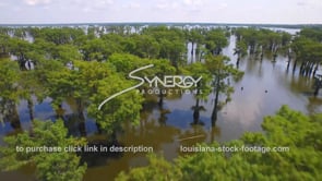 0139 Epic awesome aerial view classic Louisiana swamp tour travel tourism