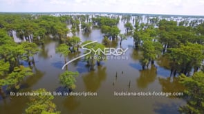 0142 scenic cinematic Louisiana swamp aerial drone dolly