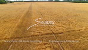 0075 aerial drone ascent from wheat field to sky dolly out