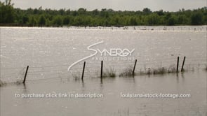 1293 Morganza spillway Mississippi river flood stage flooding