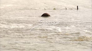 1306 Mississippi River flooding farmland bales of hay flood water