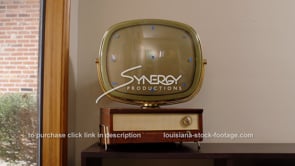 1606 Philco Predicta Holiday vintage tv screen replacement