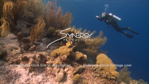 2104 scientist scuba diver records data on climate change