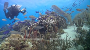 2106 scuba diver in healthy ecosystem coral reef